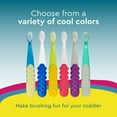 thumbnail image 5 of RADIUS Totz Plus Brush Kids Toothbrush Silky Soft BPA Free ADA Accepted Designed for Delicate Teeth & Gums for Children 3 Years & Up - Blue/Yellow- Pack of 1, 5 of 9