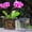 L, variant on Flowerpot Acrylic Transparent Orchid Planter Breathable Hydrophobic Bottom Drainage Plant Pot Tuber Growth Planter