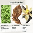 thumbnail image 3 of Homeidcs SereneScent™ Guilded Amber & Tonka 15ml Home Fragrance Essential Oil, 3 of 5