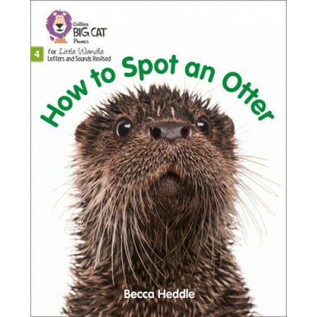 Big Cat Phonics For Little Wandle Letters And Sounds Revised How To