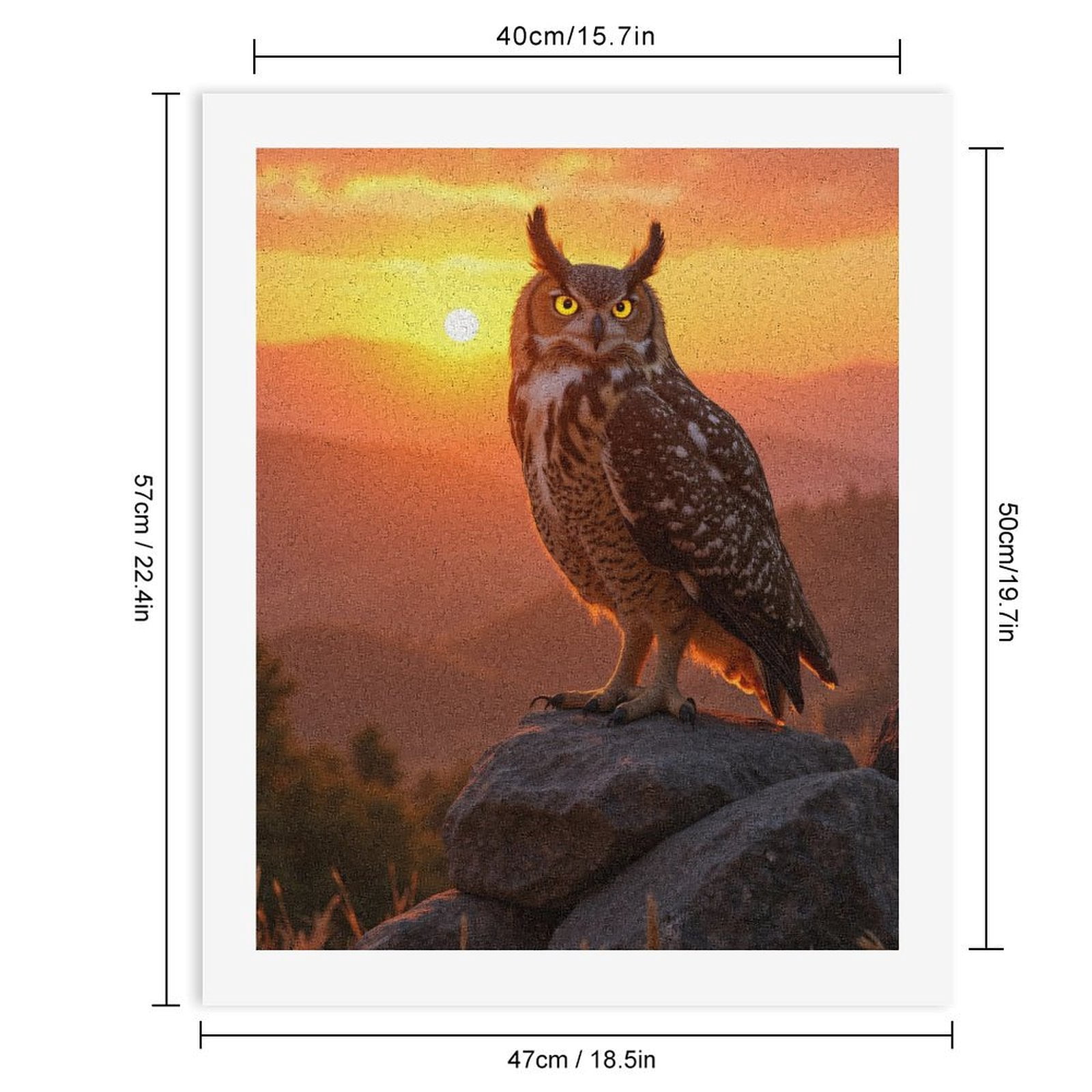 Paint by Numbers Kit for Adults, Owl Sunset Perched Rocks Scenic Paint by Numbers, Easy Paint by Numbers Kit for Adults Beginner, DIY Adult Paint by Number Kits on Canvas, Home Decor