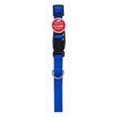 thumbnail image 1 of Produits 1 x 26 Po Collier Expert pour Chien&44; Bleu, 1 of 1
