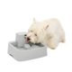 thumbnail image 1 of Fuente de agua PetSafe Drinkwell para gatos y perros pequeños, 1 of 6