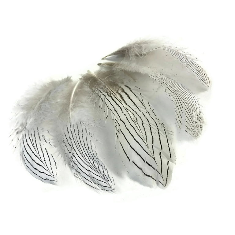 10-80CM/-32inch White Tail Silver Pheasant Feathers for Crafts DIY Plumes