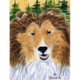 thumbnail image 1 of Carolines Treasures SS8141GF Sheltie Flag - Garden Size, 1 of 3
