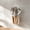S, variant on Snmubt Large Clear Wall Mounted Storage Organizer, No Drill Wall Caddy, 14.8x12x9.2cm, Adhesive Strip, for Kitchen Utensils & Bathroom