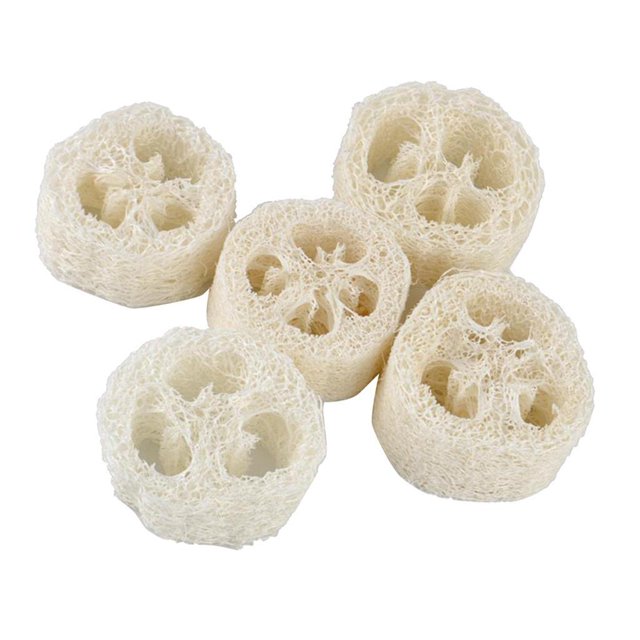 Depurador de esponja de esponja natural Depurador de Esponja de Tazón Luffa 5 Piezas para Senderismo Libre