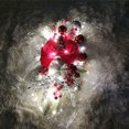 thumbnail image 2 of Wweixi Couronne à DEL à Faible Entretien et Décor de Noël Intérieur Ou Extérieur Rouge Réaliste, 2 of 6