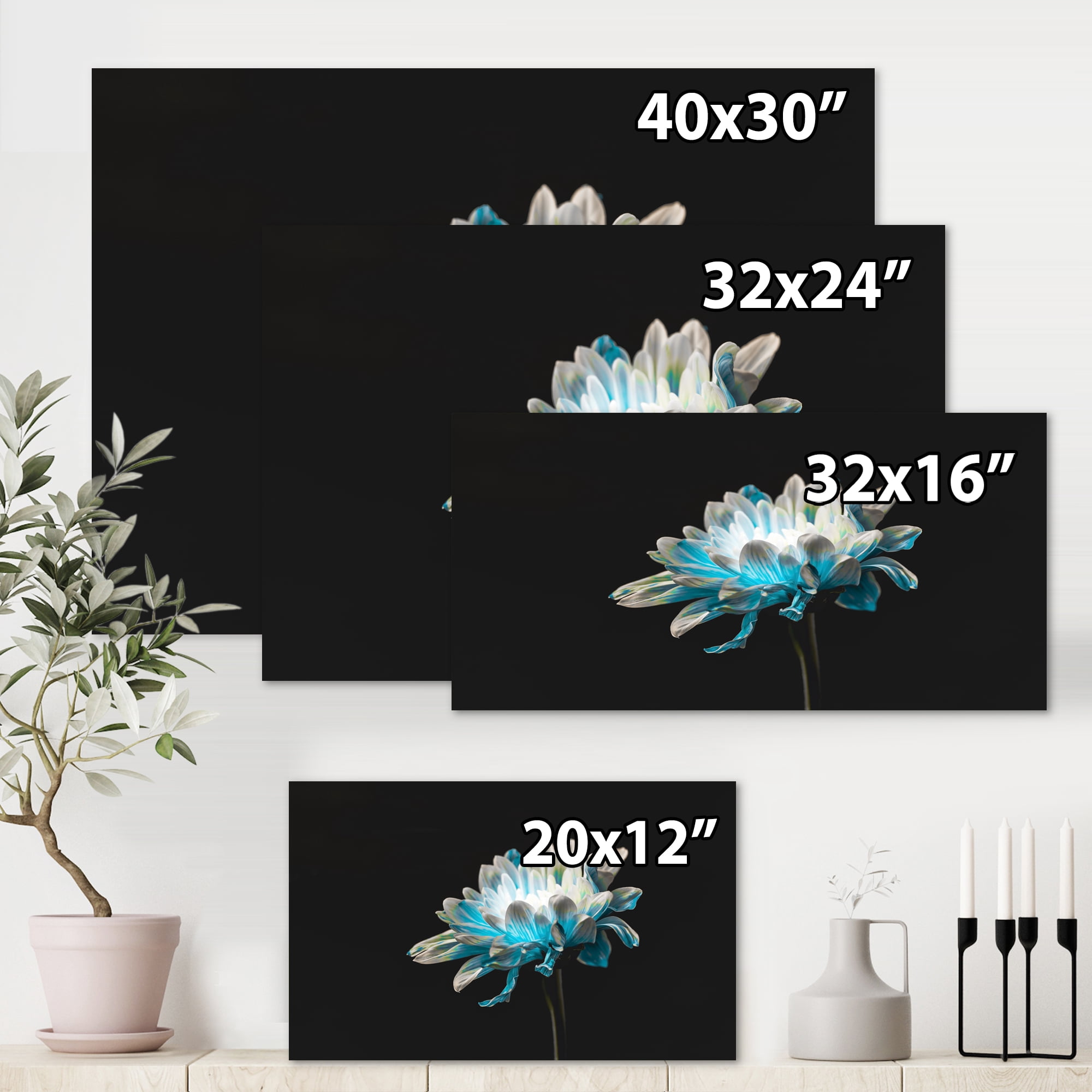 Designart ' Close Up Of White and Pure Blue Daisy Flower I ' Traditional Canvas Wall Art Print