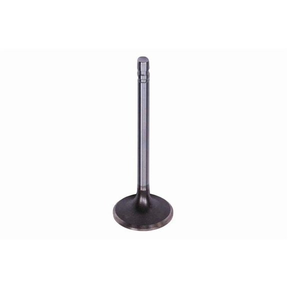 GM Genuine Parts 14033927 Engine Intake Valve