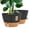Black&Brown, variant on FIASON 6 Pack Plastic 5/5.5/6/6.5/7/8 Inch White with Brown Self Watering Plant Pots,Include Watering Lip,Drainage Holes and Removable Saucer,Flower Pots for Indoor Outdoor Plants