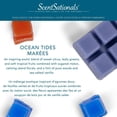 thumbnail image 4 of ScentSationals Scented Wax Cubes - Ocean Tides, 4 of 4