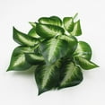 thumbnail image 4 of Coofit Artificial Plant Lifelike Decorative Fake Leaf Fake Plant Artificial Greenery, 4 of 8