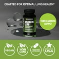 thumbnail image 4 of Havasu 500mg Mullein Leaf Extract Lung Support Supplement, 10:1 Ratio, 60 Ct, 4 of 13