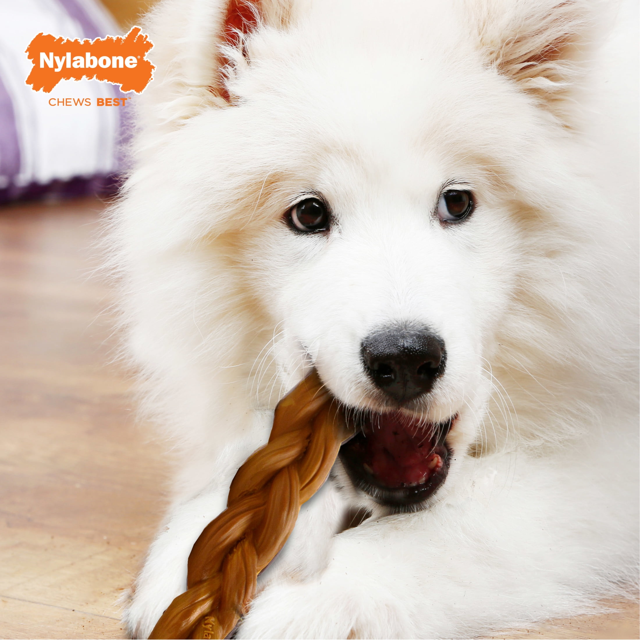 (4 pack) Nylabone Power Chew Braided Bully Stick Alternative Dog Toy, Dog Chew Toy, Bully Stick Flavor, Large, 1 Count