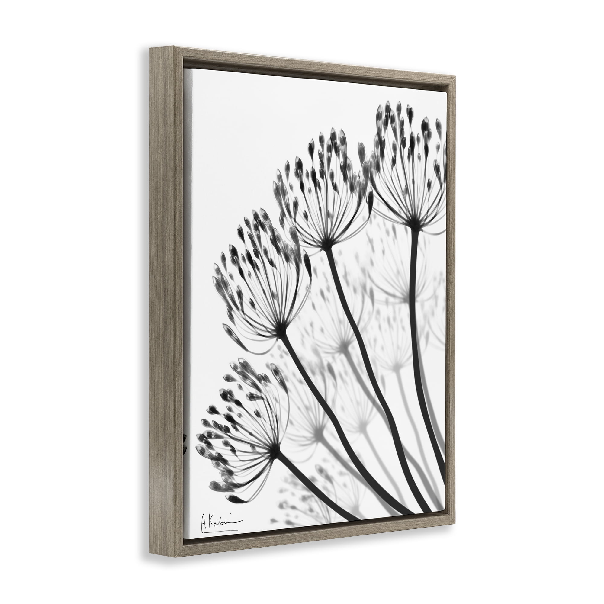 Stupell Industries Floral Fan Dandelions Brown Framed Floater Canvas Wall Art, design by Albert Koetsier