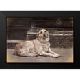thumbnail image 2 of Harrison, Lesley 24x18 Black Modern Framed Museum Art Print Titled - The Red Leash, 2 of 5