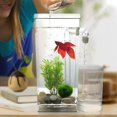 thumbnail image 4 of Kids Mini Transparent Fish Tank Self Cleaning Small Aquarium Desktop, 4 of 5