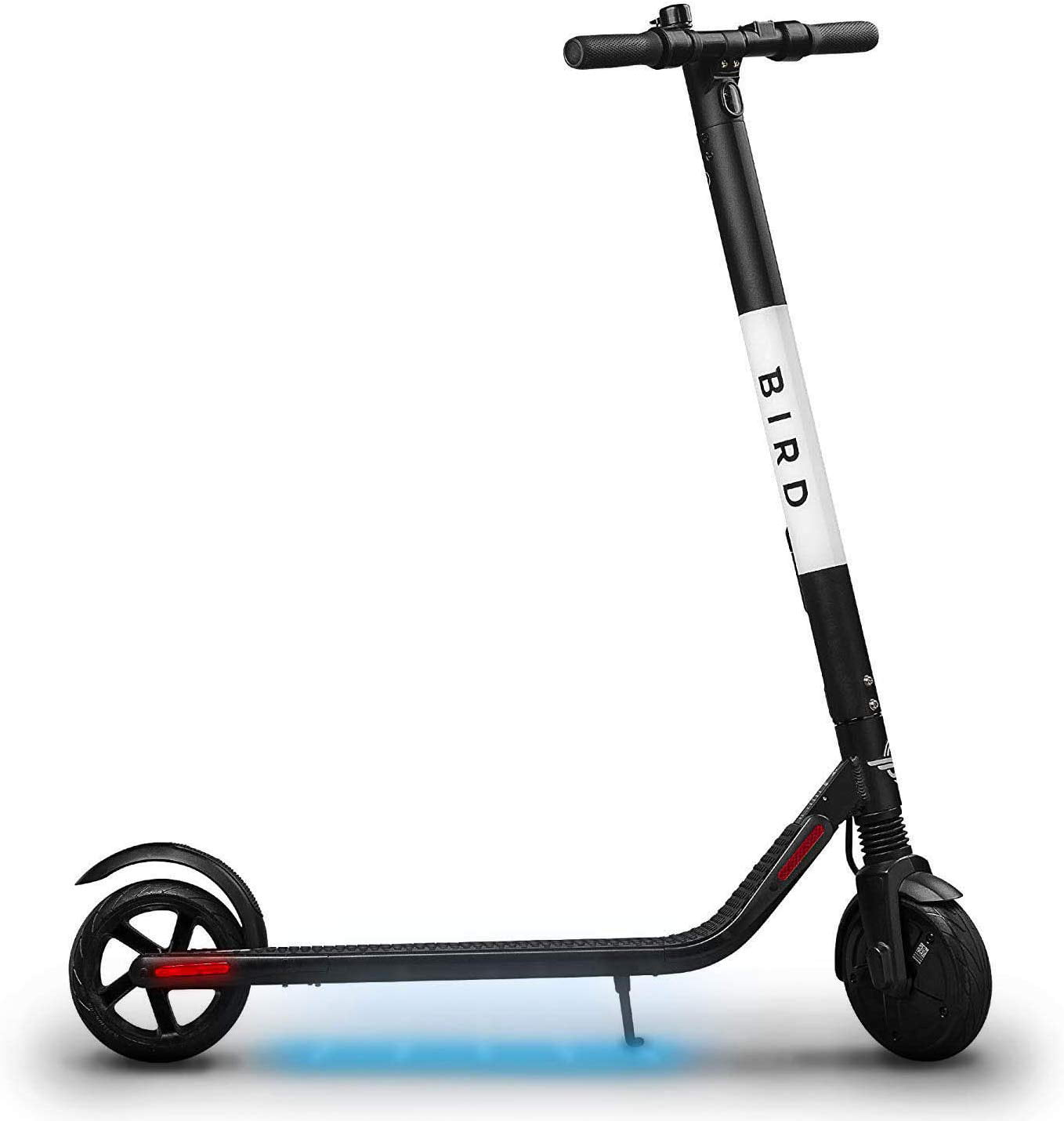 the bird scooter