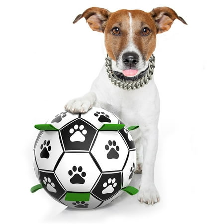 inflatable dog ball