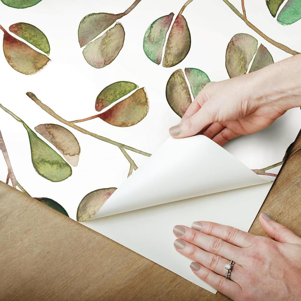 Cat Coquillette Eucalyptus Peel and Stick Wallpaper