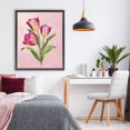thumbnail image 3 of Stupell Industries French Country Vibrant Magenta Tulips Black Floating Frame Canvas Art, 25 x 31, by Diane Neukirch, 3 of 8