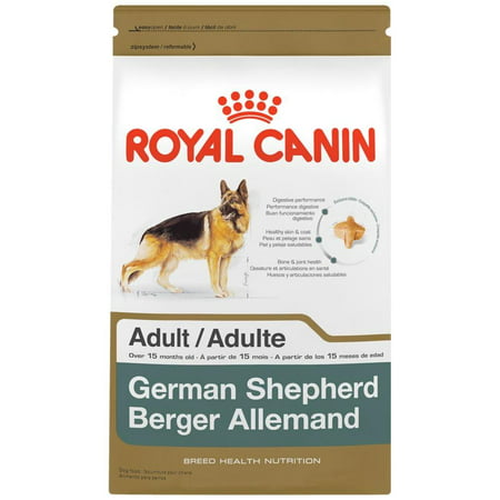ROYAL CANIN BREED HEALTH NUTRITION Dachshund Adult dry dog food (Best Dog Food For Dachshunds)