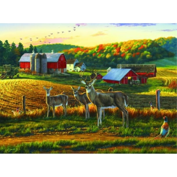 Buffalo Games Darrell Bush Harvest Time 1000 Piece Jigsaw Puzzle Walmart Com Walmart Com