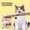 Raffia, variant on Natural Silvervine Cat Chew Sticks 3 Pack, Cat Dental Treats with Raffia Ends for Teeth Cleaning, Interactive Play for Indoor Cats, Kitten Chew Accessory