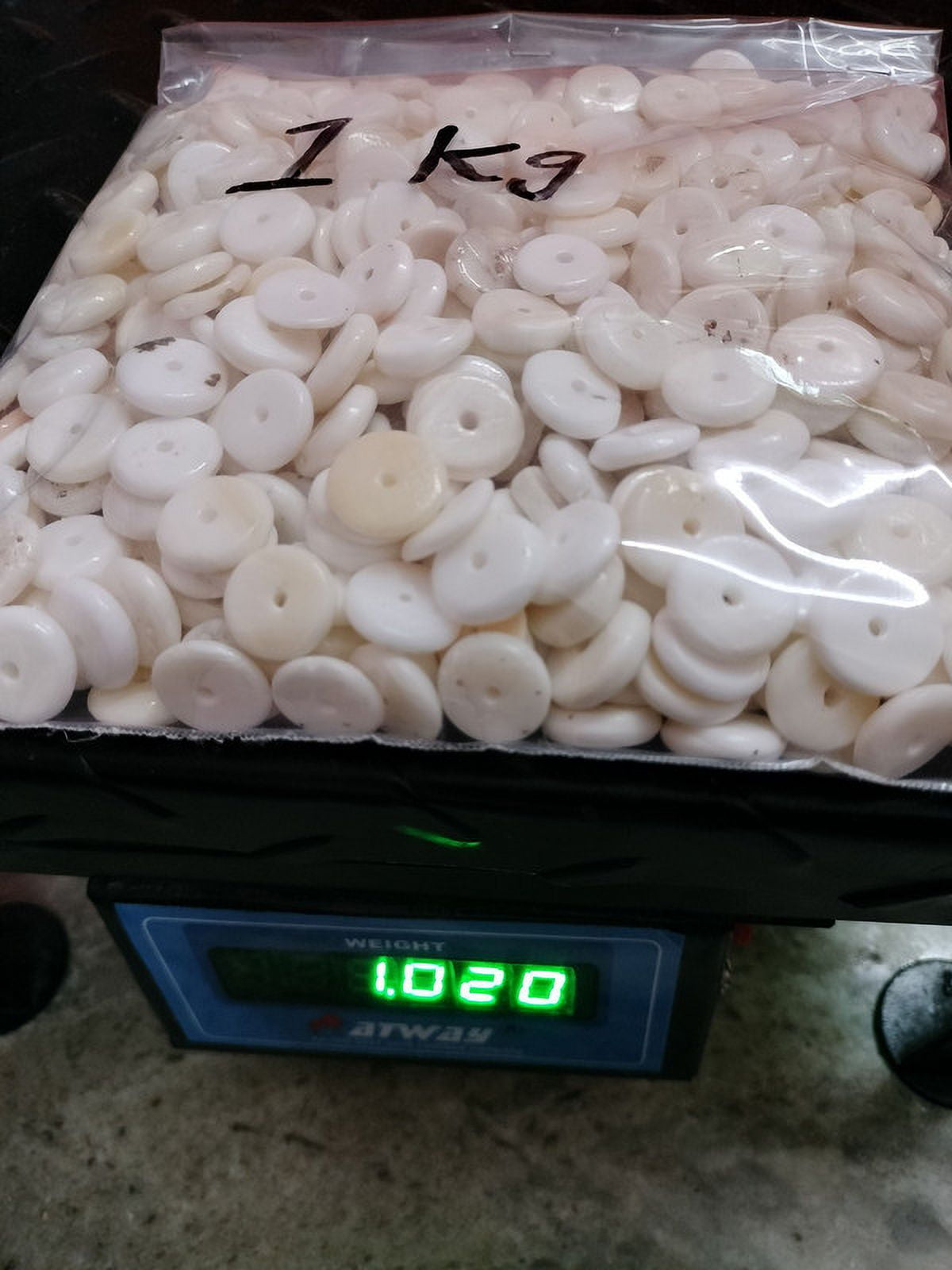 St. John's Exim Sea Shells Buttons 15mm to 16mm (1 kg Minimum 450 Pieces Above) 2.2 lbs, White