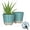 Aqua, variant on Lark & Vine Wallula Resin Planter, Durable and Light Weight, 10" x 10" x 8.9", Aqua, Set of 2