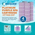 thumbnail image 2 of Hurricane 12 Pack HF7468-04P Platinum Purple Pool Filter Cartridge Replacement, 2 of 7