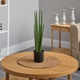 thumbnail image 3 of Nearly Natural 23" Sansevieria Snake Artificial Plant, Green, 3 of 4