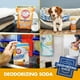 thumbnail image 5 of Arena para gatos Arm & Hammer Super Scoop, 6,35 kg, 5 of 9