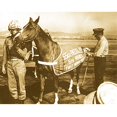thumbnail image 4 of Breyer Traditional Series Sergeant Reckless | Model Horse Toy | 8.75" x 7" | 1:9 Scale | Model # 1493, 4 of 5