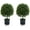 Style 2, variant on Accreate Artificial Topiary Ball Tree Indoor and Outdoor, 35 Inch Faux Boxwood Plants Topiary Triple Ball Tree Milan Grass Ball Trees for Porch or Garden Home Decor