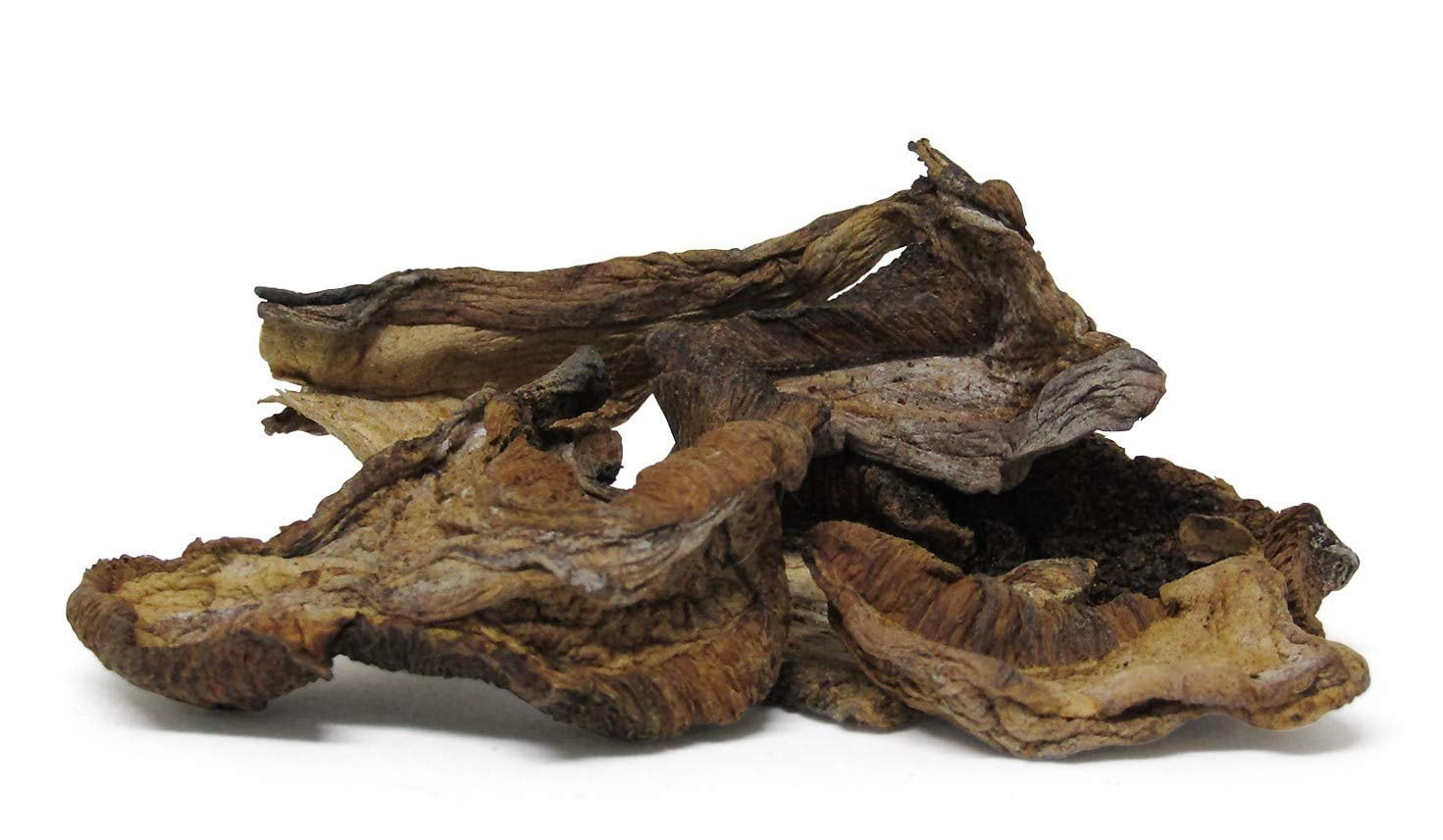 Dried Mushroom Slices Boletus Luteus by It's Delish, 4 Oz Bag  Chilean Sundried Dehydrated and Sliced Mushrooms for Cooking and Flavoring