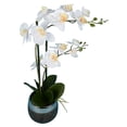 thumbnail image 2 of Vickerman 23" Artificial White Phalaenopsis In Metal Pot., 2 of 3