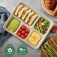thumbnail image 4 of GPED 125 Pack 5 Compartment Disposable Plates, 10.25" x 8.25" Compostable Paper Plates Bulk, Biodegradable Sugarcane Bagasse Trays, Heavy-Duty School Lunch Trays for Party, Natural Brown, 4 of 7