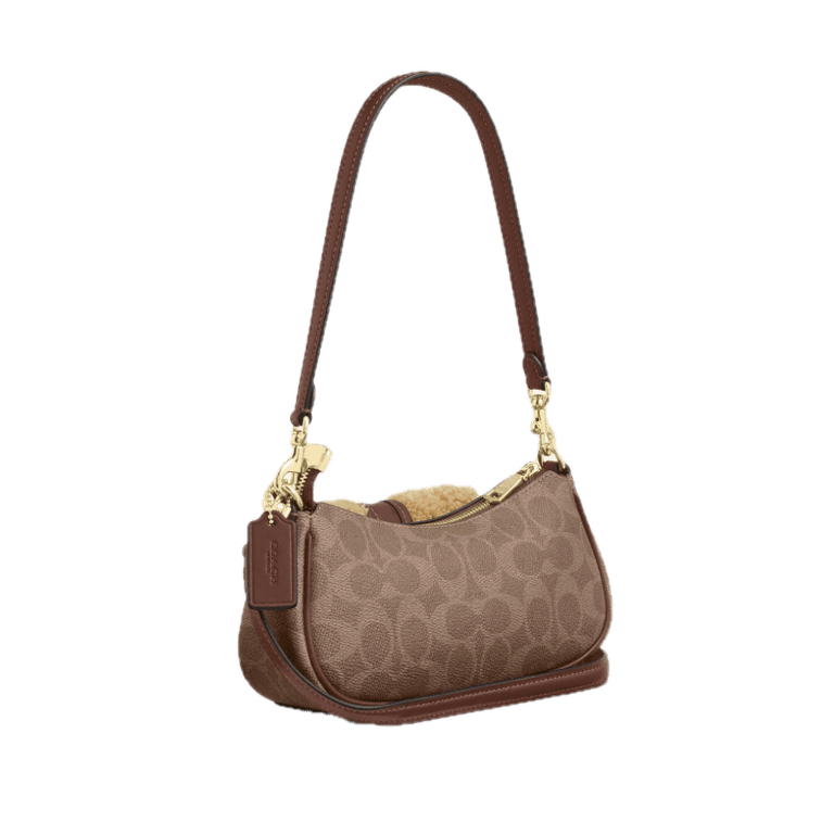 Coach Ashton Mini Shoulder Bag In Signature Canvas - Walmart.com