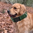 thumbnail image 4 of Apuakthei Moss es adecuado para perros pequeños y grandes., 4 of 5