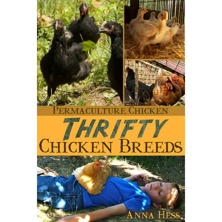Thrifty Chicken Breeds - eBook