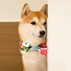 thumbnail image 4 of El nudo suave del plomo del collar del perro y del gato imprimió el collar de perro ajustable a cuadros del collar de perro de la muchacha, 4 of 5