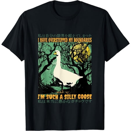 I Have Overstepped My Boundaries I'm Such a Silly Goose T-Shirt, Vintage Birthday Gift