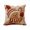 Brown, variant on Christmas Themed Single Sided Printed Throw Pillow Cover, Decorative Sofa Cushion Case, Festive Holiday Pillowcase for Couch Bed Living Room Bedroom Home Xmas Decoration (No Insert), Brown