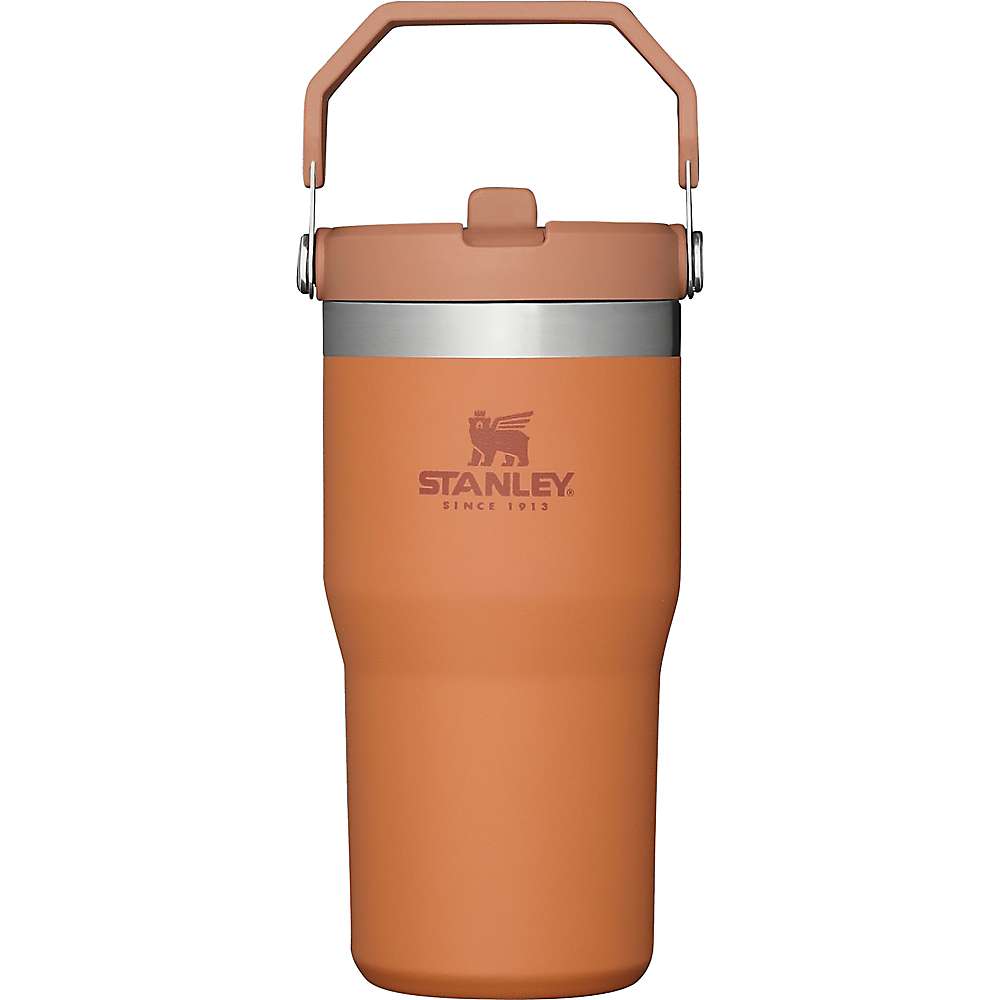 Stanley Classic 20oz Iceflow Flip Straw Tumbler