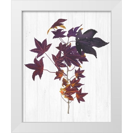 Miller Dianne 26x32 White Modern Wood Framed Museum Art Print Titled - Sweet Foliage II