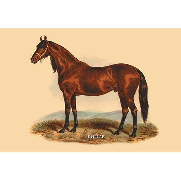 Dollar Fine art canvas print (20" x 30")