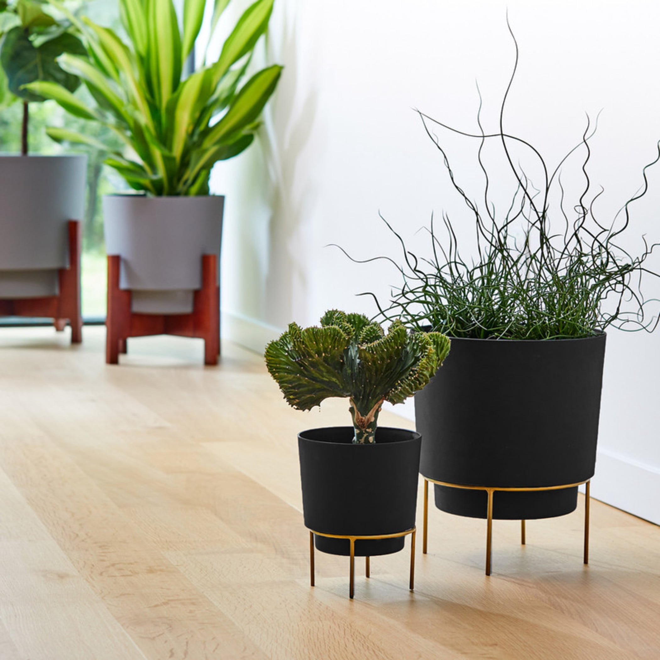 Bloem Hopson 14" Plastic Cachepot with Metal Stand - Decorative Indoor Planter with Gold Metal Stand, Black