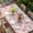 pink, variant on Spring Floral Table Cloths for 8 Foot Rectangle Tables, Retro Flowers Leaves Botanical Light Blue Patio Waterproof Elastic Fitted Tablecloths, Washable Rectangular Table Cover for Camping